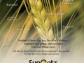 SunOpta Fiber